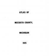Mecosta County 1915 